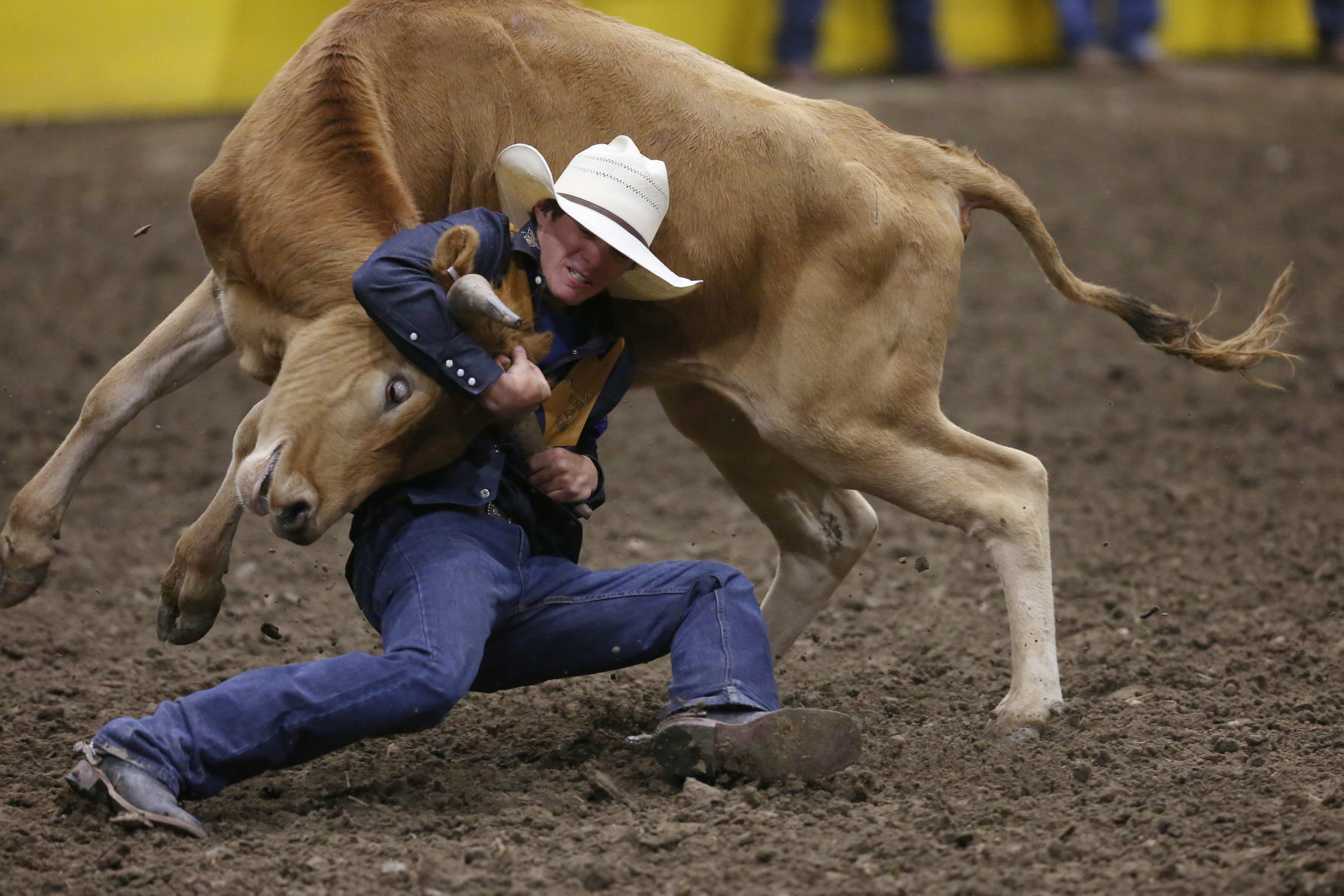 CNFR